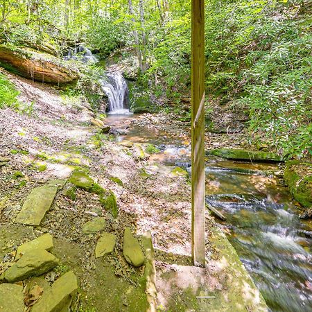 Bryson City Cottage With Hot Tub And Waterfall Views! Buitenkant foto